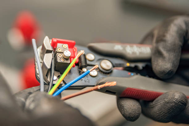 Best Local Electrician Companies  in Lexington, MI